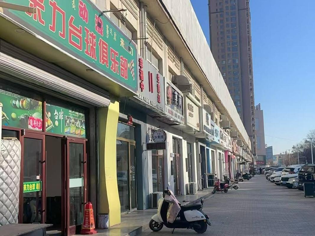 内蒙古巴盟五原县华阳商城步行街A座-201商业房产转让（内蒙古金叶投资有限责任公司）(六次挂牌)