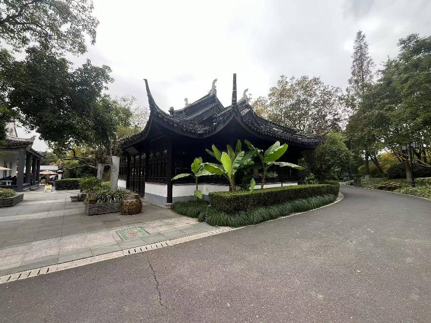 红梅公园内听雨轩招租公告