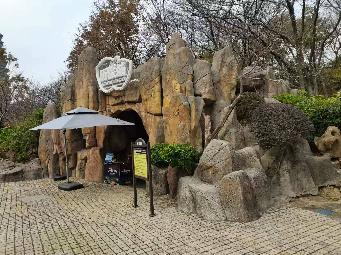 红梅公园半山亭下山洞招租公告