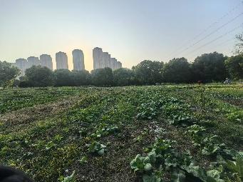 常州市北塘河以南、东经120路以西、北塘河路以北、城建档案馆以东金融商务区地块招租公告