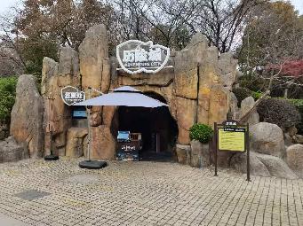 红梅公园半山亭下山洞招租公告