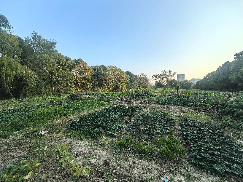 常州市北塘河以南、东经120路以西、北塘河路以北、城建档案馆以东金融商务区地块招租公告