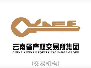自贡金星化工有限公司23%股权