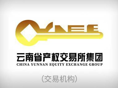 2024年凤庆中和机场部分商业资源租赁项目