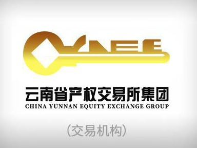 2024年临沧博尚机场部分商业资源租赁项目