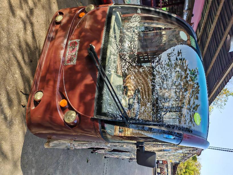 厂内机动车（14座观光车）转让公告