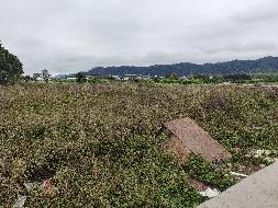 桂(2020)恭城县不动产权第0000735号2076.35㎡国有建设用地使用权转让项目交易公告(国资监测编号GR2024GX2000987)