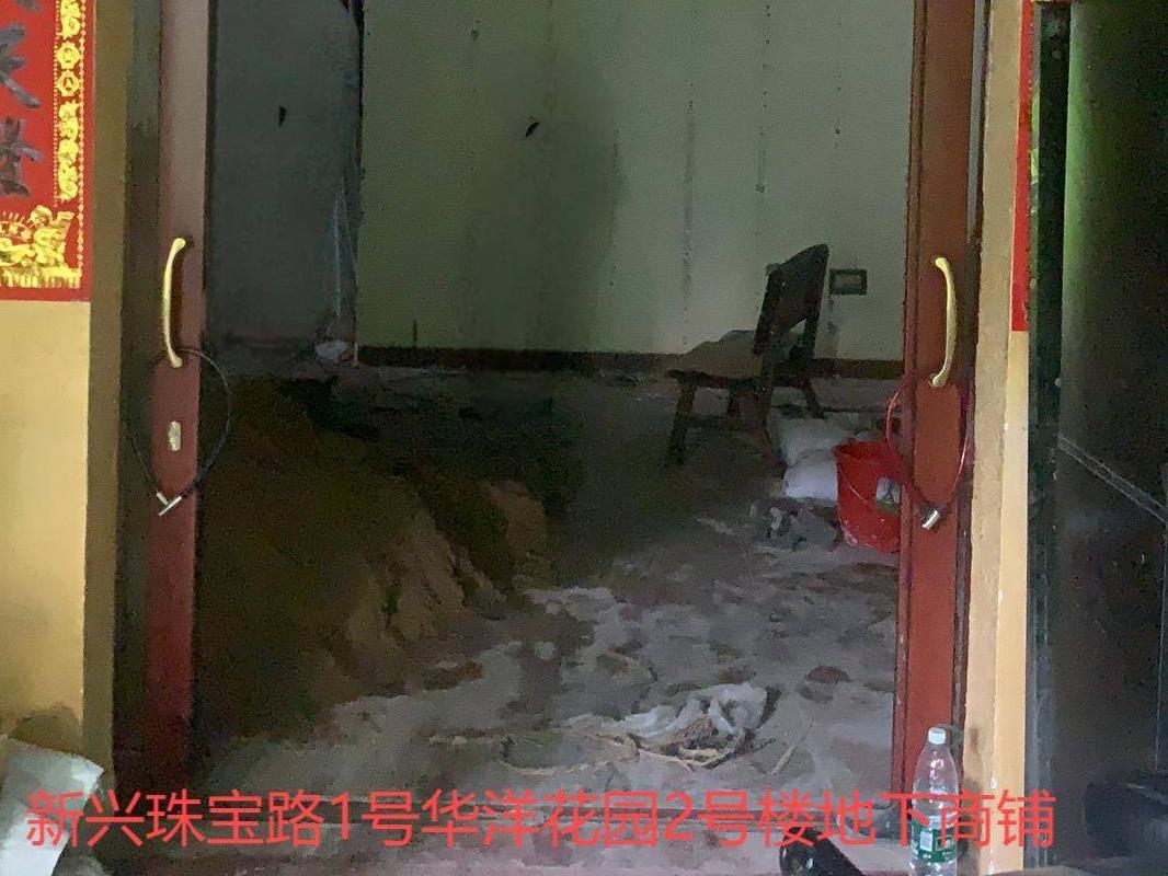 梧州市居仁路2号一层33号商铺、新兴珠宝路1号华洋花园2号楼地下商铺分别招租（5年）项目交易公告