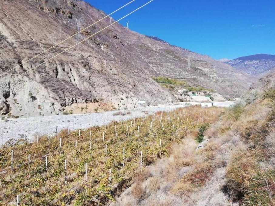 云南香格里拉太阳魂酒庄产业有限公司持有的土地使用权及在建工程(国资监测编号GR2025YN1001586)