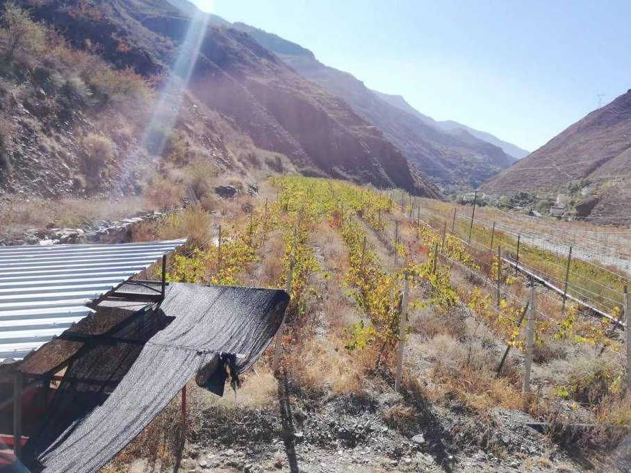 云南香格里拉太阳魂酒庄产业有限公司持有的土地使用权及在建工程(国资监测编号GR2025YN1001586)