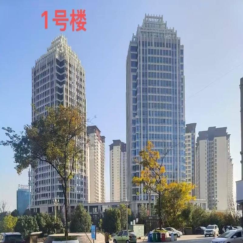 云南省昭通市昭通大道与金鹰大道交叉口西南侧“交投•茶花印象”房产项目(国资监测编号GR2024YN1001255)
