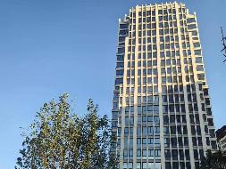 云南省昭通市昭通大道与金鹰大道交叉口西南侧“交投•茶花印象”房产项目(国资监测编号GR2024YN1001255)
