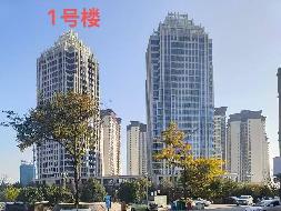 云南省昭通市昭通大道与金鹰大道交叉口西南侧“交投•茶花印象”房产项目(国资监测编号GR2024YN1001255)