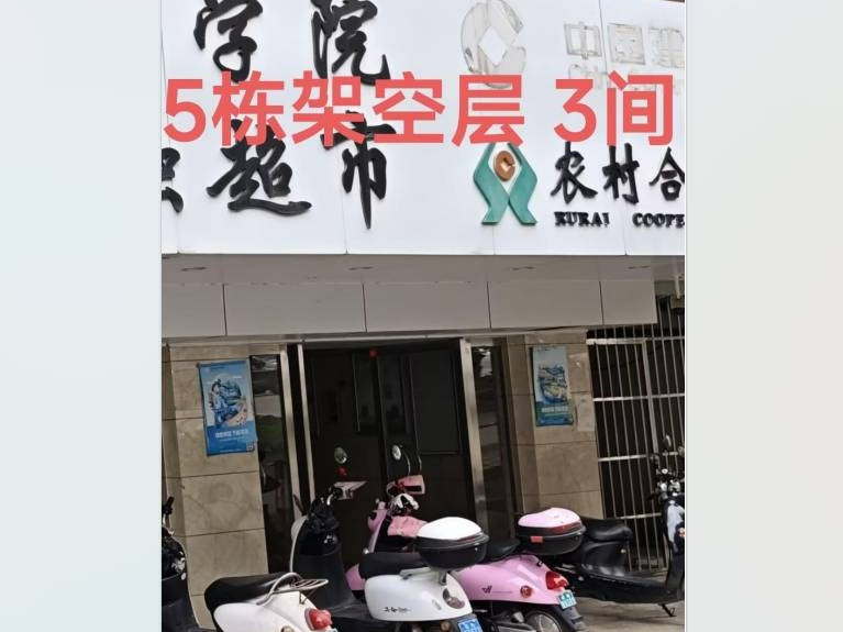 百色学院澄碧校区28间铺面分别招租（3年）项目(二次挂牌)