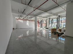 江苏省新海高级中学开发区分校艺体楼一楼南侧门面房招租