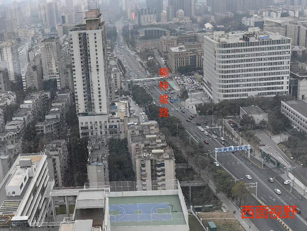 长沙市岳麓区润城万象商业中心T1#栋（悦玺）2509-2519(国资监测编号GR2025HN1000112)