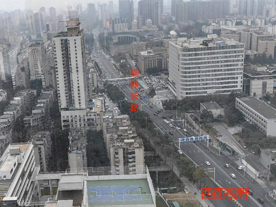 长沙市岳麓区润城万象商业中心T1#栋（悦玺）2609(国资监测编号GR2025HN1000113)