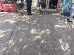 广西壮族自治区全州公路养护中心才湾道班土地招租（5年）项目