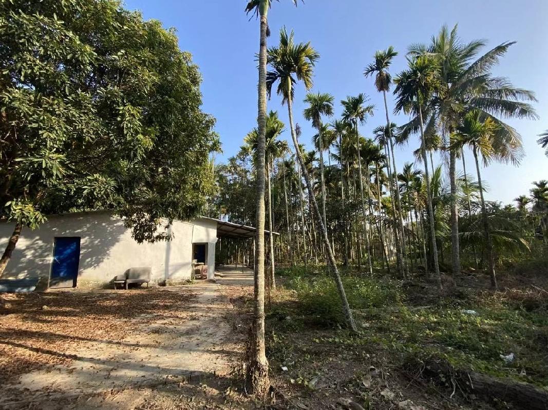三亚市海棠区神泉集团1号地块项目16413.83㎡国有建设用地使用权公开挂牌转让(国资监测编号GR2025HI1000216)