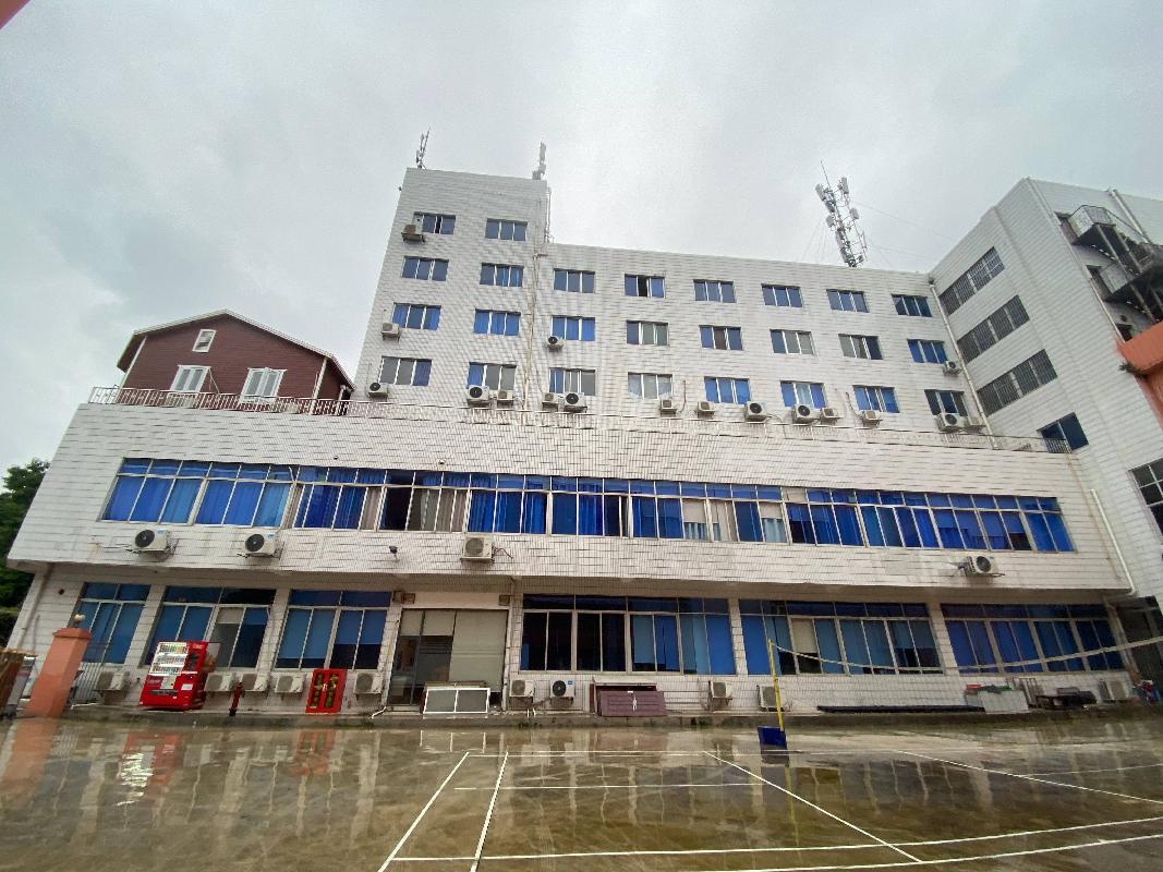 南宁市星光大道3号江南体育馆大院内3宗资产整体招租（10年）项目交易公告