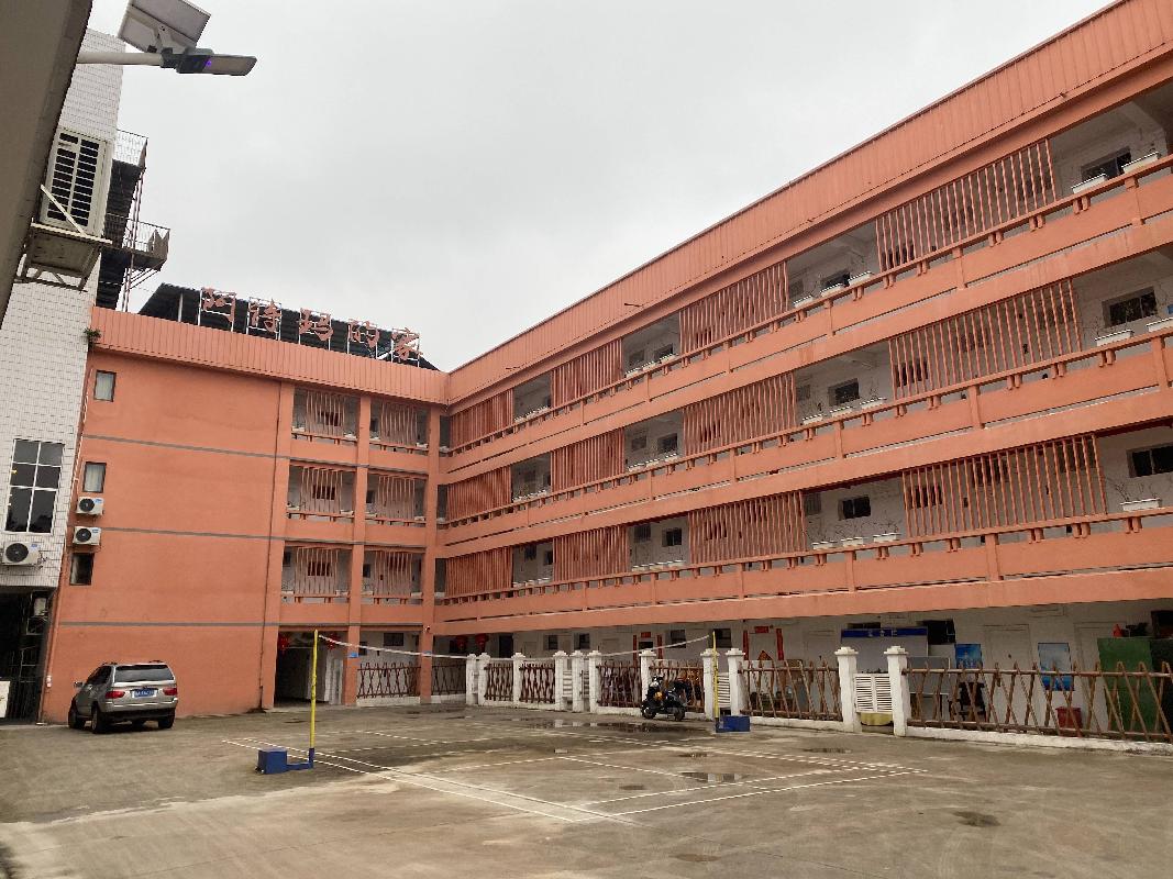 南宁市星光大道3号江南体育馆大院内3宗资产整体招租（10年）项目交易公告
