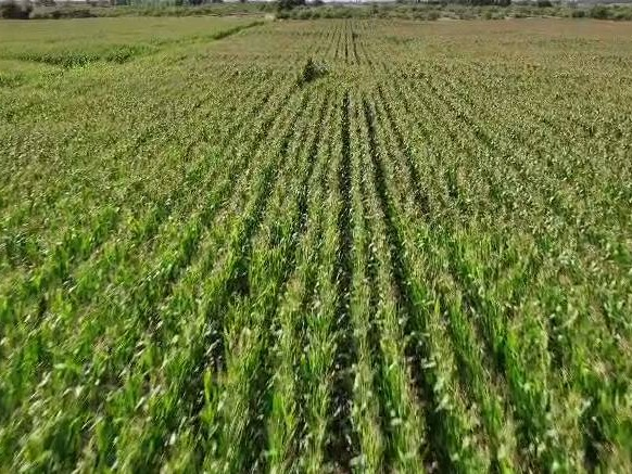 约370亩旱地土地经营权出租，位于翁牛特旗乌丹镇哈日敖包南梁，租赁期自租赁合同签订之日起至2030年2月28日（翁牛特旗富兴投资管理有限公司）