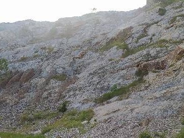 睢宁县岚山镇小寨山、羊山南、九顶山东北坡、寨山西坡关闭矿山生态修复项目废弃土石料转让公告(国资监测编号GR2025JS4000645-3)