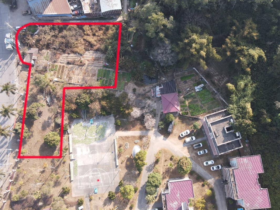 广西壮族自治区苍梧公路养护中心林水养护站、梨埠养护站、社学养护工区部分土地分别招租（5年）项目交易公告