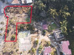 广西壮族自治区苍梧公路养护中心林水养护站、梨埠养护站、社学养护工区部分土地分别招租（5年）项目交易公告