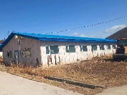甘河森工公司野猪繁育基地出租