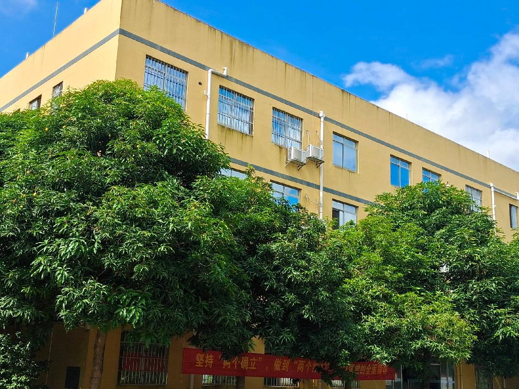 南宁市吴圩镇明阳工业区平山一路1号明阳厂房分别招租（5年）项目 交易公告