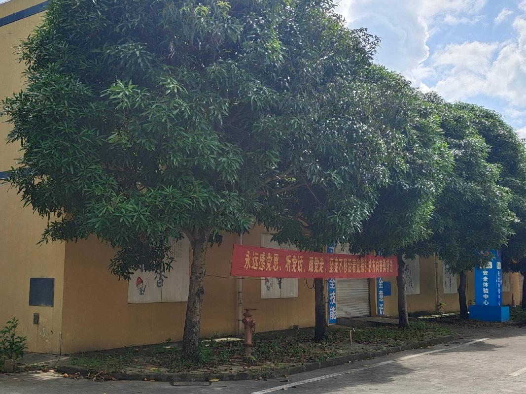 南宁市吴圩镇明阳工业区平山一路1号明阳厂房分别招租（5年）项目 交易公告
