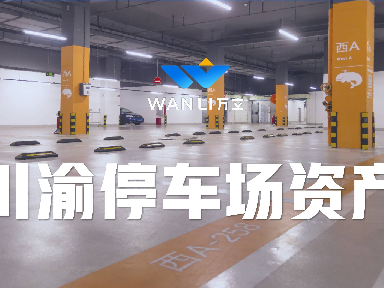 成都市彭州市安信路XX小区222个车位（可单独购买）转让公告