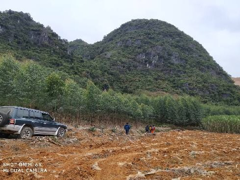 广西扶绥县渠黎镇平羌白云岩矿探矿权转让项目交易公告(九次挂牌)(国资监测编号GR2025GX2000116-9)