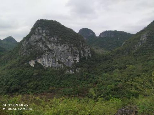 广西扶绥县渠黎镇平羌白云岩矿探矿权转让项目交易公告(九次挂牌)(国资监测编号GR2025GX2000116-9)