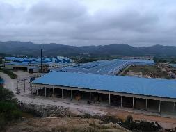 广西华威木业有限公司闲置场地及资产整体招租（9年）项目交易公告
