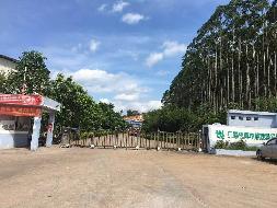 广西华威木业有限公司闲置场地及资产整体招租（9年）项目交易公告