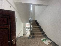 广西江山港边地贸口岸联检大楼招租项目交易公告