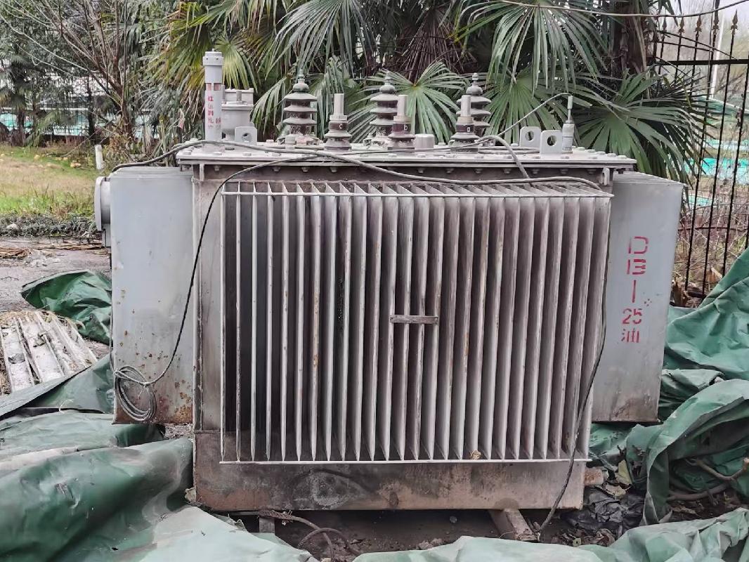 一台油浸整流变压器转让公告（重新挂牌）(国资监测编号GR2025AH2001001)