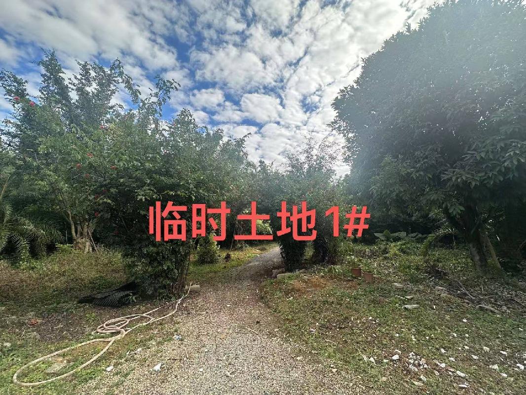 德宏芒市机场绿化、种植临时使用土地招租