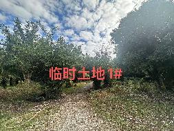 德宏芒市机场绿化、种植临时使用土地招租(国资监测编号GR2025YN1000137)