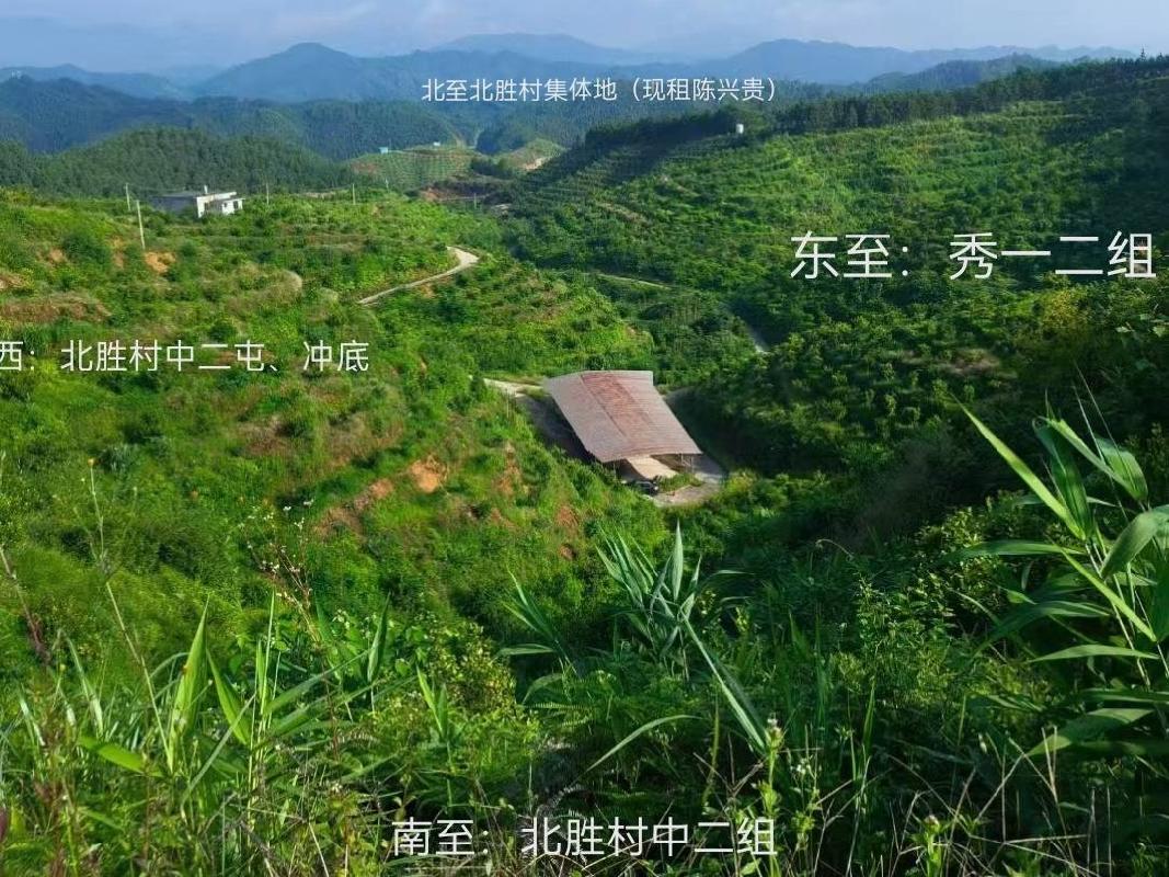 [贵港市]贵港市平南县马练瑶族乡北胜村约190亩沃柑基地流转项目(二次挂牌)