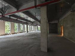 上海市松江区九亭镇研展路158弄5号101、102、201及202室出租公告(国资监测编号GR2025AH2000554)