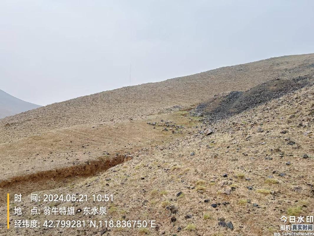 内蒙古自治区赤峰市翁牛特旗张家沟铅锌矿勘探探矿权转让(国资监测编号GR2025NM1002786)