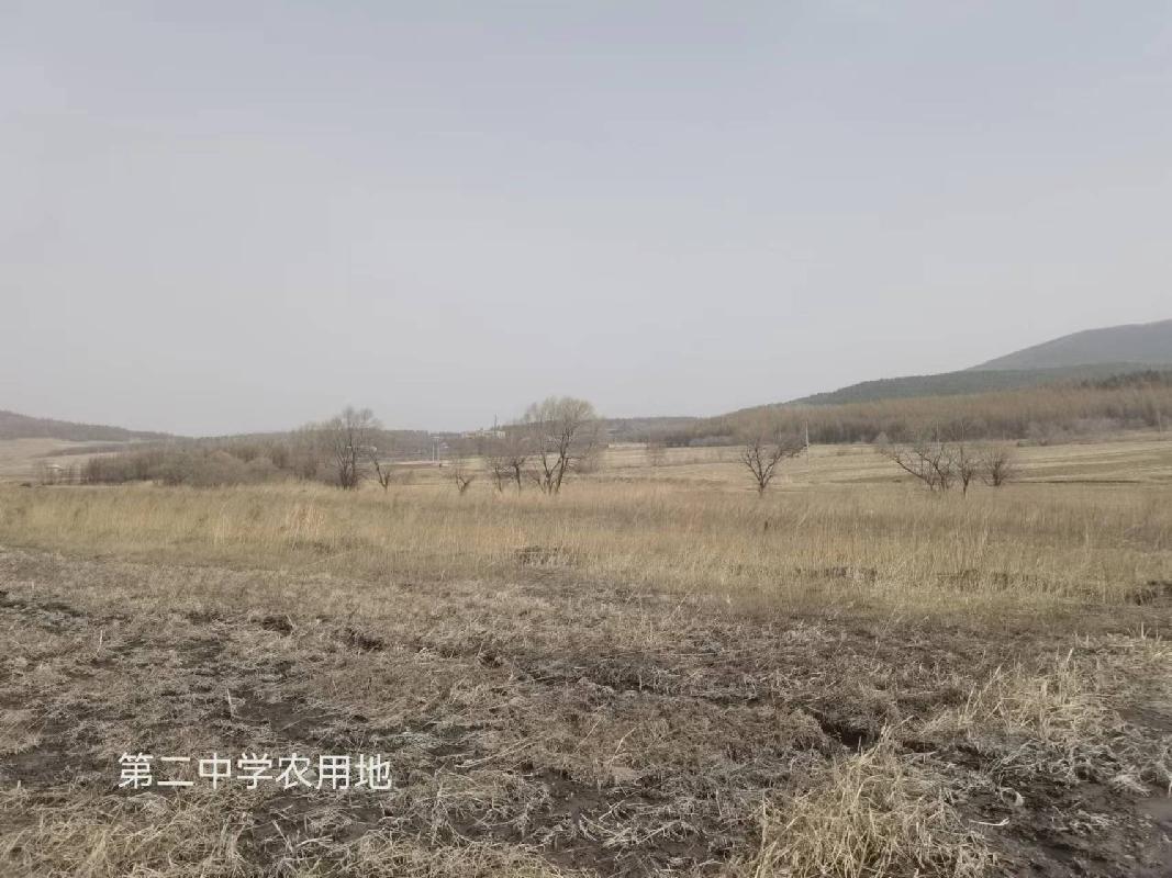 双鸭山国有资产经营公司16宗农用地分别出租交易公告
