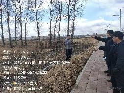 双鸭山国有资产经营公司16宗农用地分别出租交易公告