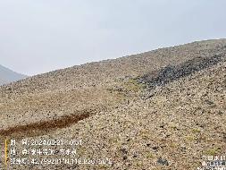 内蒙古自治区赤峰市翁牛特旗张家沟铅锌矿勘探探矿权转让(国资监测编号GR2025NM1002786)