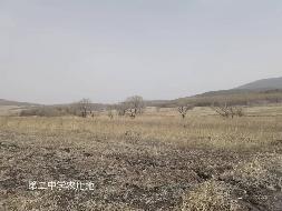 双鸭山国有资产经营公司16宗农用地分别出租交易公告