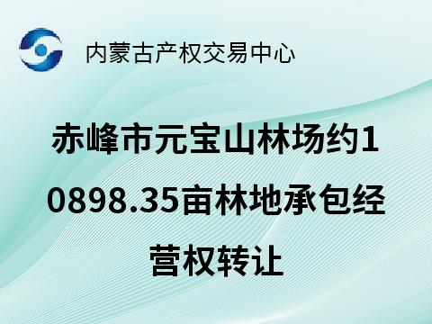 赤峰市元宝山林场约10898.35亩林地承包经营权转让（承包期20年，承包底价130,777,011.74元/20年）