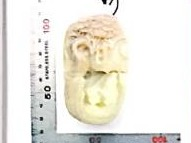 2020G-J-HTY217-Y024手把件（玉石2025）